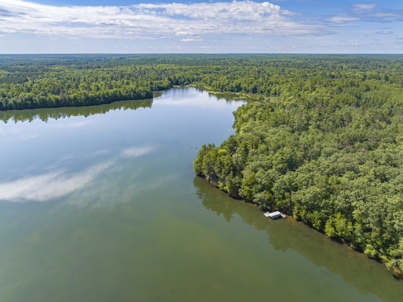 Horsehead Lake Cabins